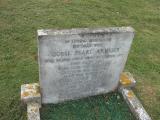 image of grave number 276361